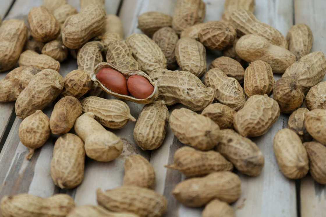 Groundnut benefits and disadvantages Groundnut benefits and disadvantages