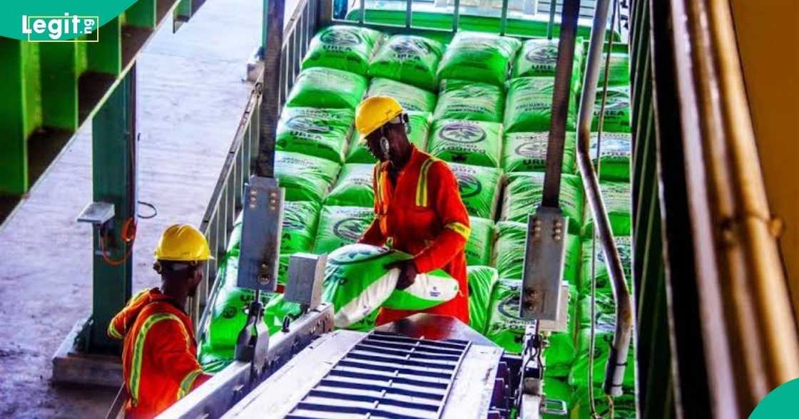 Dangote Fertiliser has outlined four steps Nigerians must follow