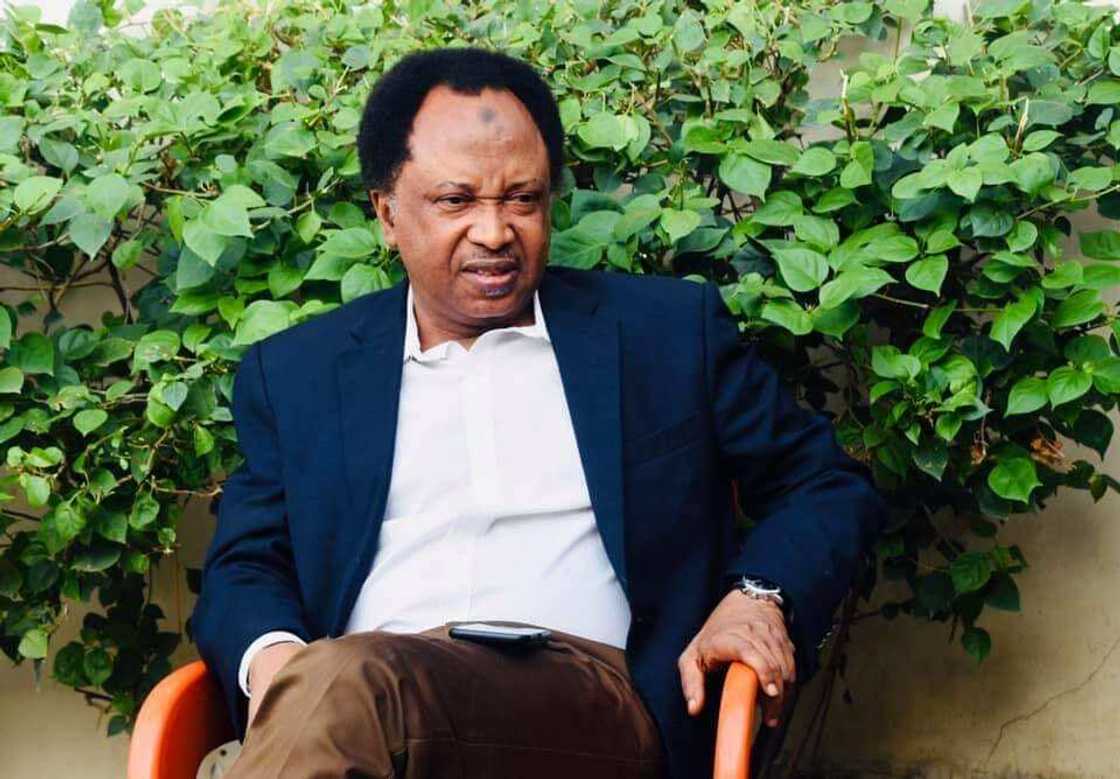 Travel to Cotonou and tweet - Shehu Sani reacts to Twitter ban