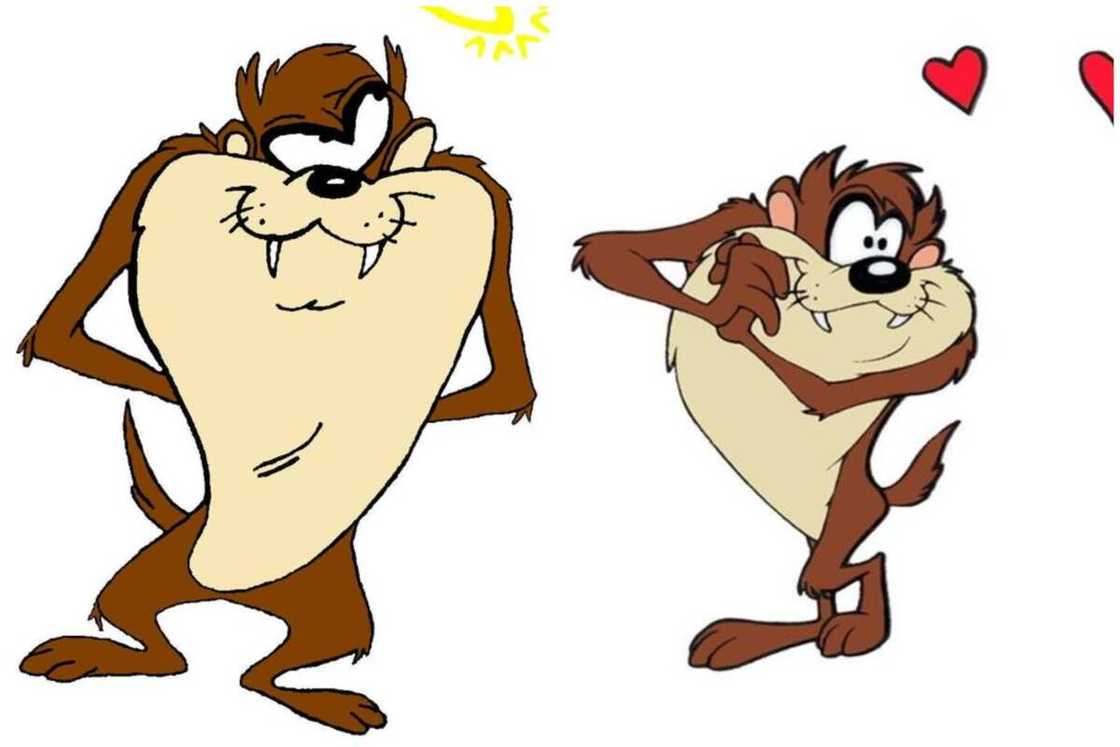 Tasmanian Devil, the ugly boy cartoon character Tasmanian Devil, the ugly boy cartoon character