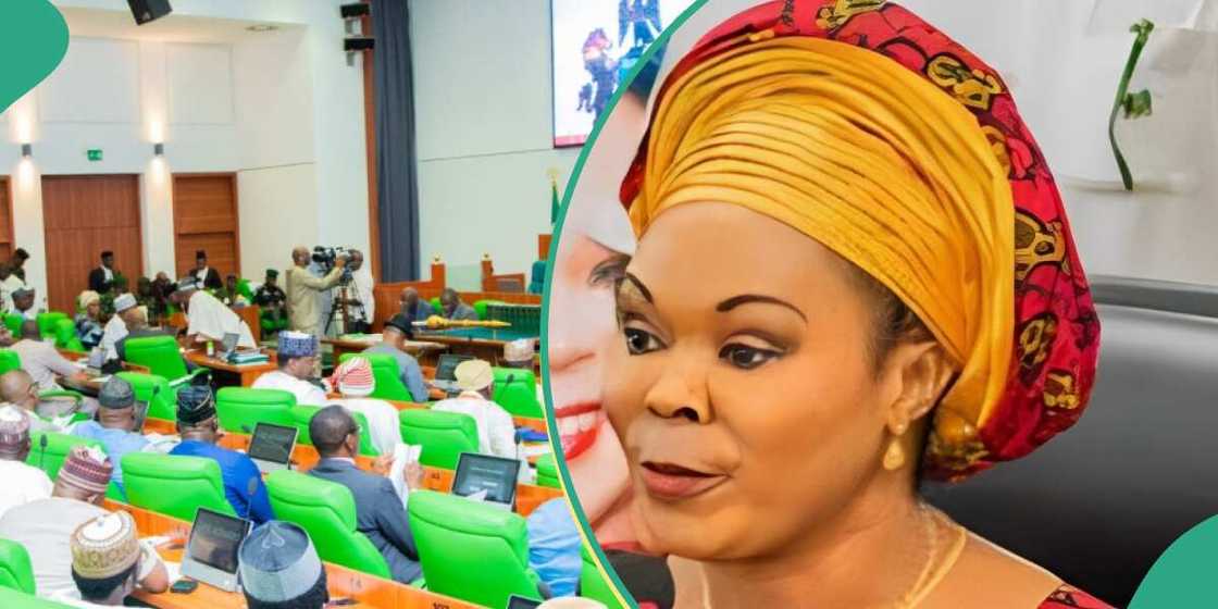 Reps probe women affairs minister, Uju Kennedy-Ohaneye over financial misappropriation Reps probe women affairs minister, Uju Kennedy-Ohaneye over financial misappropriation