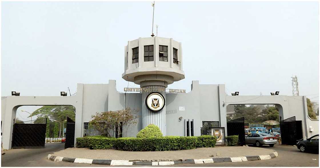 University of Ibadan, National Examinations Council, NECO, armed robbers University of Ibadan, National Examinations Council, NECO, armed robbers