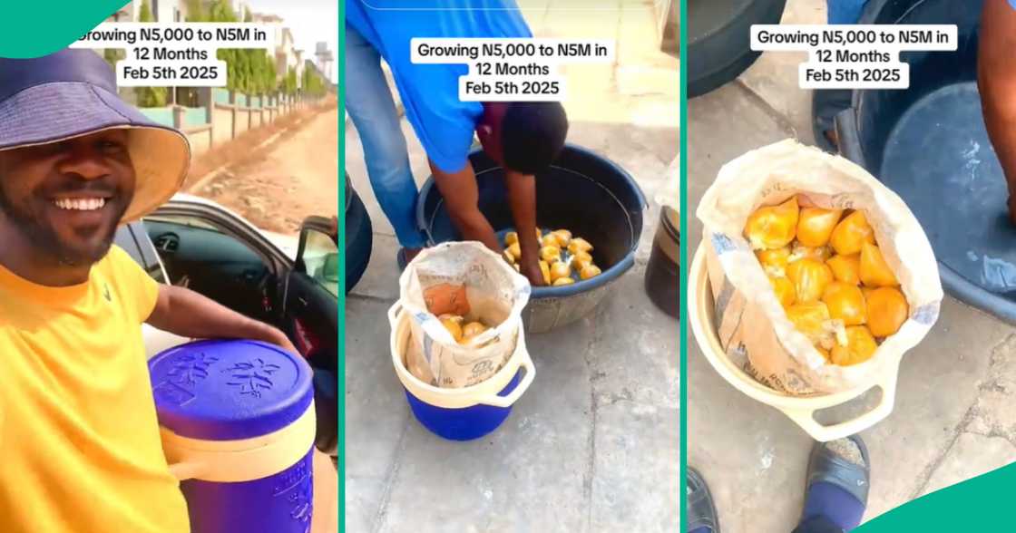 Making okpa in Nigeria/Okpa eastern food. Making okpa in Nigeria/Okpa eastern food.