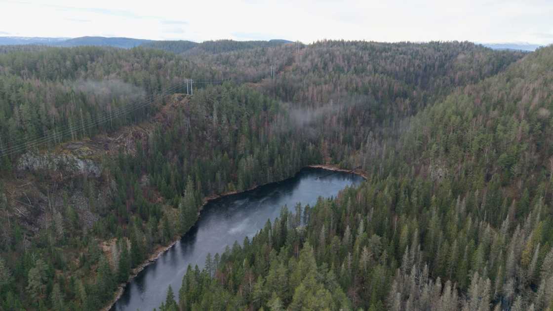 The Fensfeltet treasure has an estimated 8.8 million tonnes of rare earths The Fensfeltet treasure has an estimated 8.8 million tonnes of rare earths