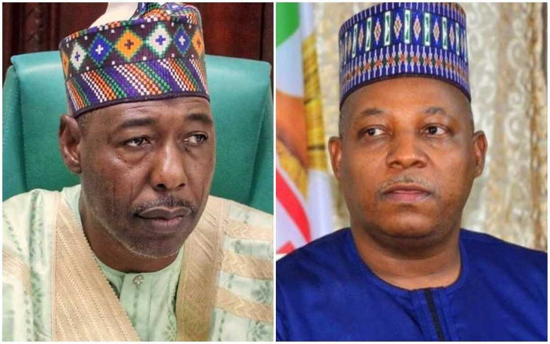 Zuhudu: Zulum ya dakatar da saka sunansa a wani aiki, ya saka sunan tsohon gwamna