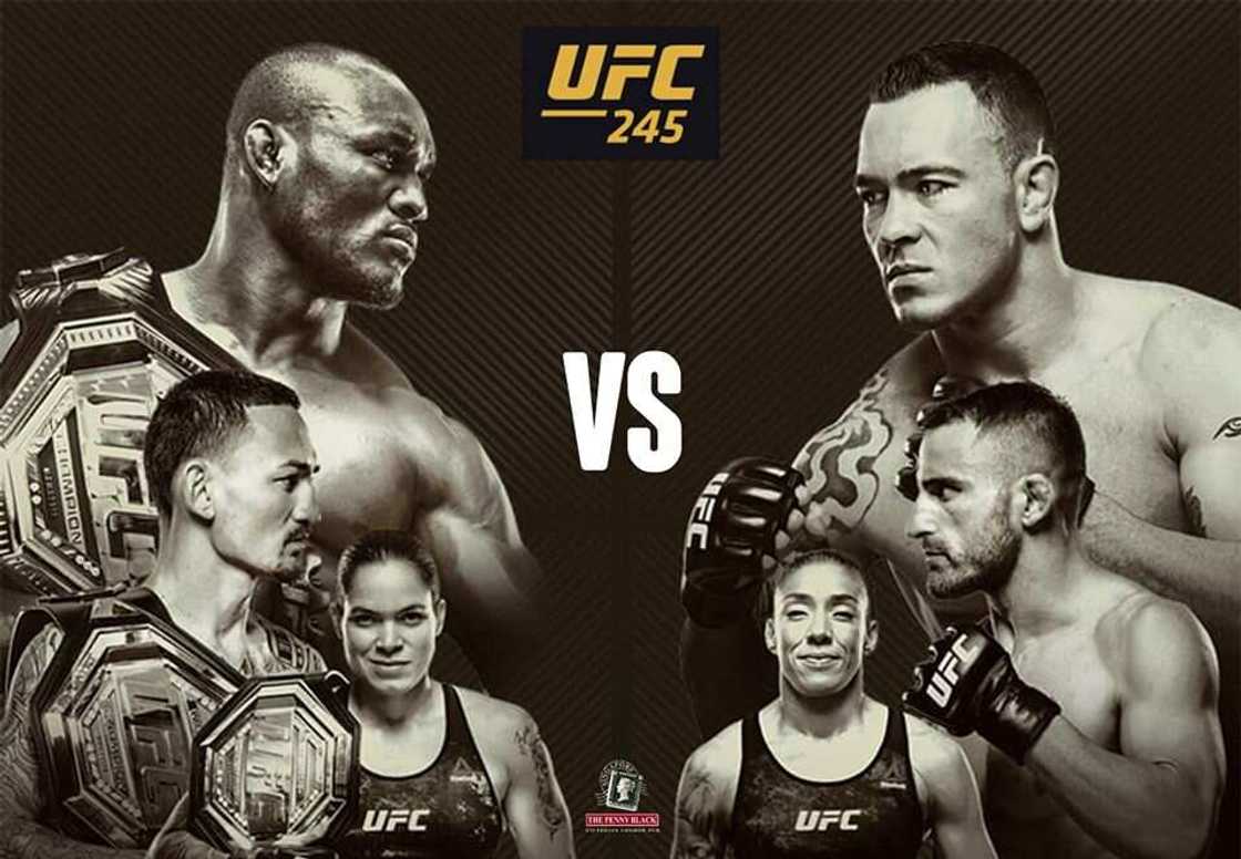 UFC 245 UFC 245