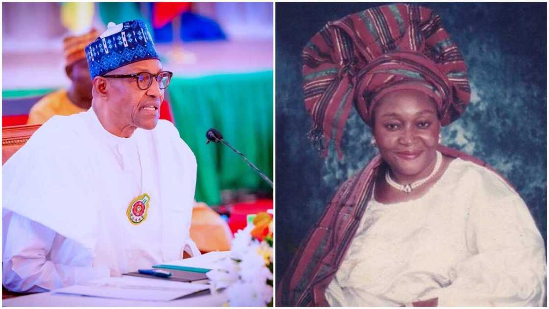 Kudirat Abiola/Buhari Government/MKO Abiola's Children/Femi Falana/ECOWAS Court in Abuja Kudirat Abiola/Buhari Government/MKO Abiola's Children/Femi Falana/ECOWAS Court in Abuja