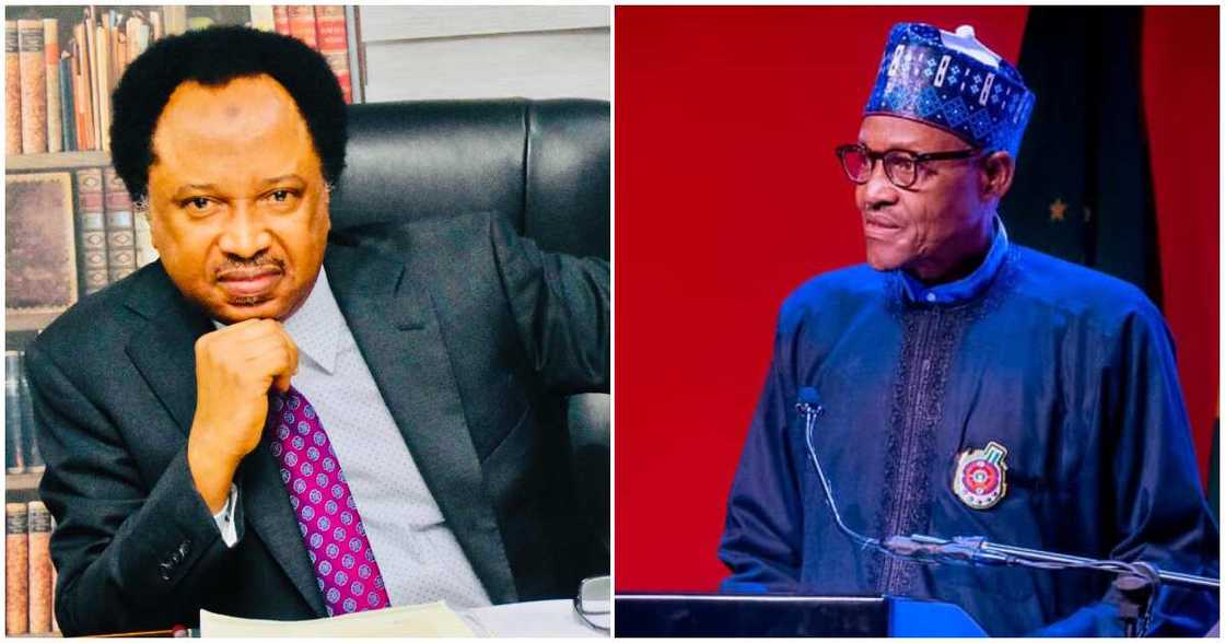 Shehu Sani mocks Buhari/ Sani throws jibe at Buhari/ Tinubu sacks service chiefs