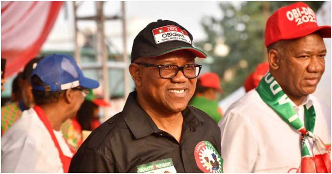 Peter Obi, APC, Bola Tinubu, 2023 presidential election, Abia state