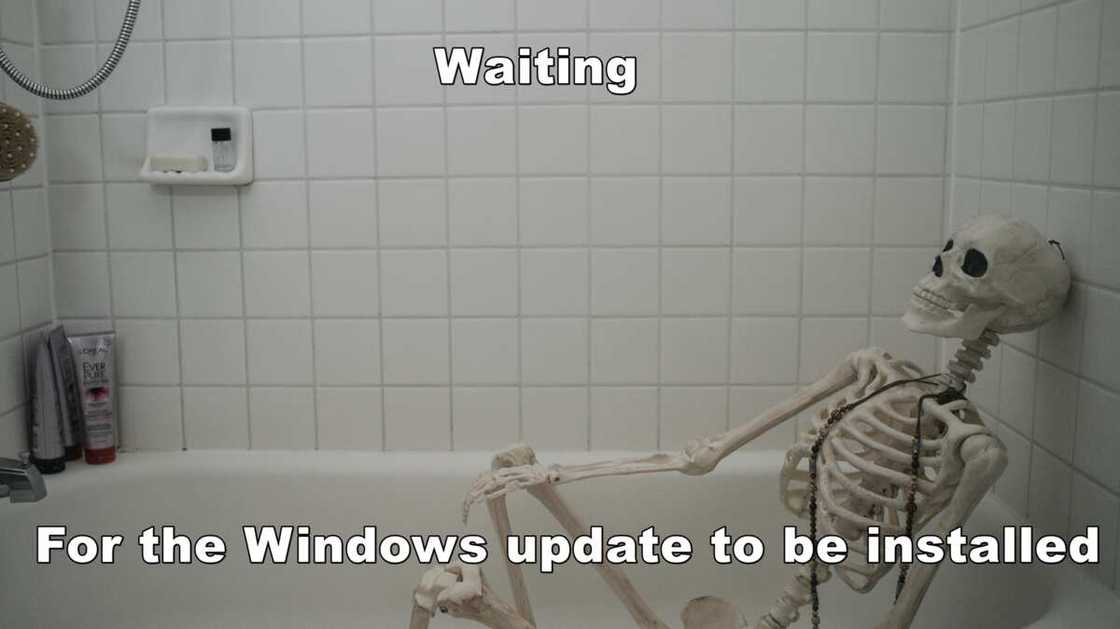 Funny skeleton memes Funny skeleton memes