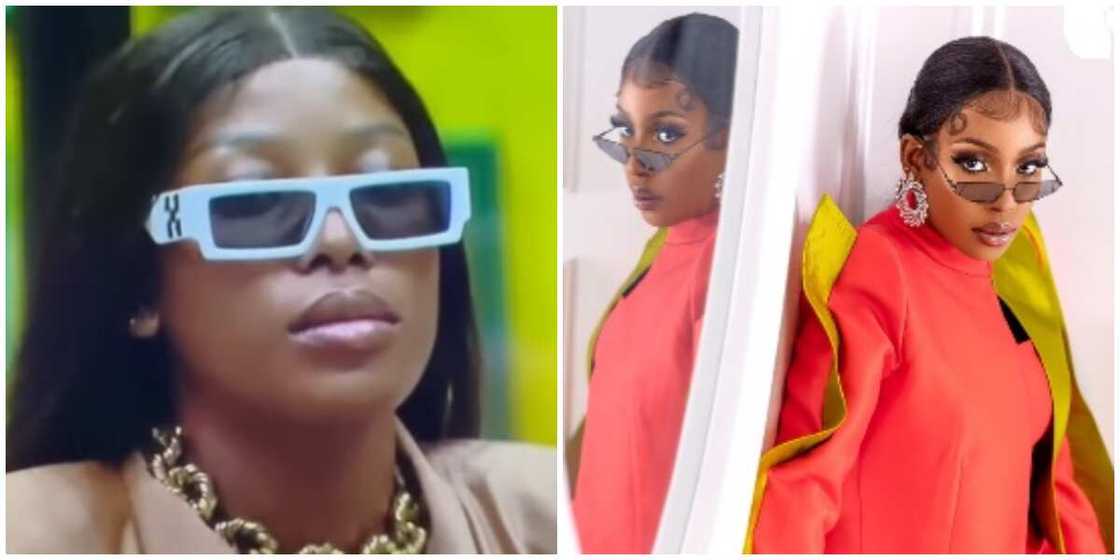 BBTitans Sandra BBTitans Sandra