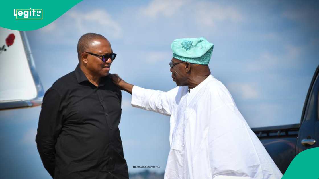 A Kwankwasiyya Movement leader confirms that former President Olusegun Obasanjo initiated the proposed Peter Obi–Rabiu Kwankwaso alliance for the 2027 elections.