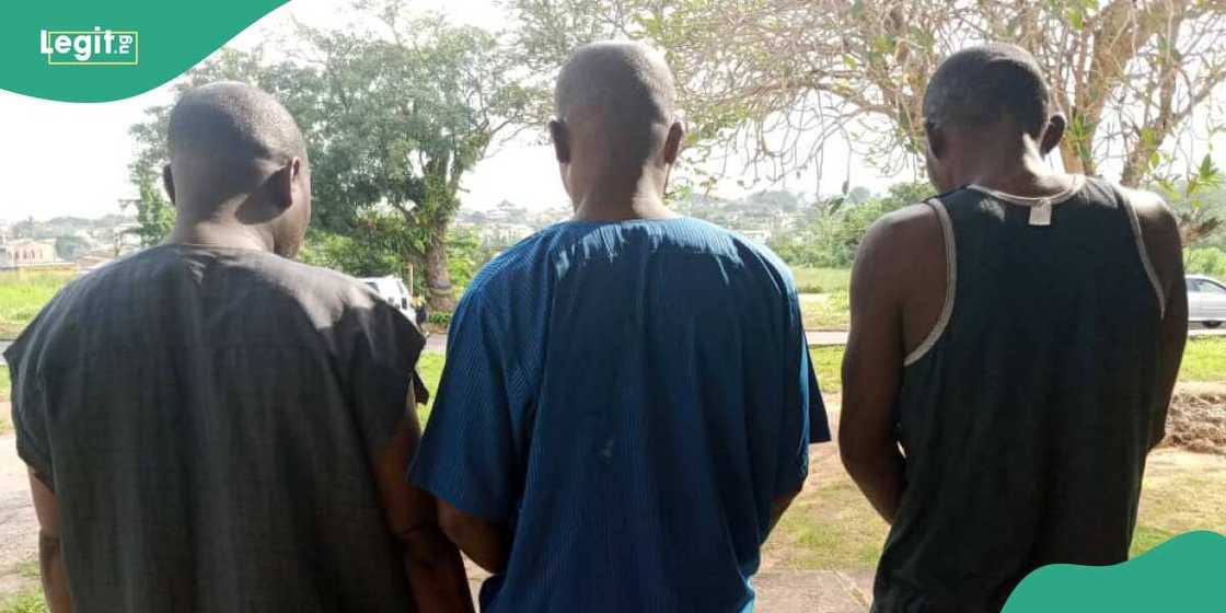 Police arrested 3 for killing in Oyo state Police arrested 3 for killing in Oyo state