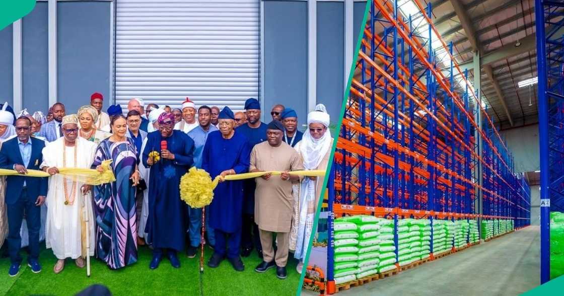 TY Logistics Park launches West Africa’s first Grade-A Free Zone in Lekki