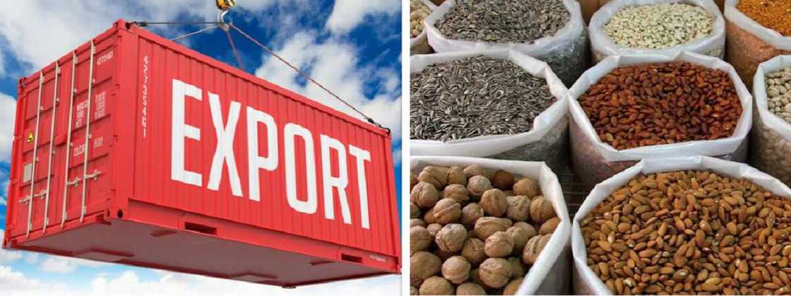 NPA commission first export processing terminal in Lagos. NPA commission first export processing terminal in Lagos.