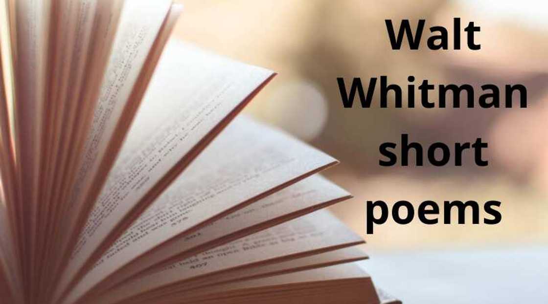 Whitman quotes Whitman quotes