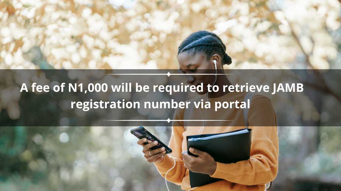 A university student looking at their phone while holding a folder A university student looking at their phone while holding a folder