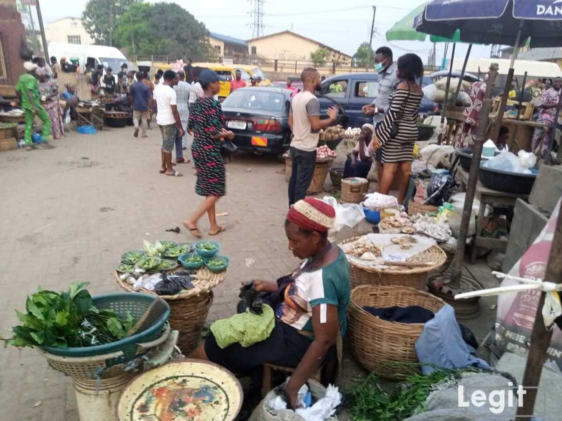 At the market this week, pumpkin leaf is very expensive as the quantity on display for sale dropped further. Photo credit: Esther Odili At the market this week, pumpkin leaf is very expensive as the quantity on display for sale dropped further. Photo credit: Esther Odili