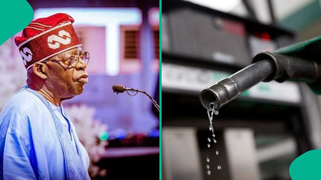 Tinubu Breaks Silence On What Fuel Subsidy Would Have Done To Nigeria Before His Emergence