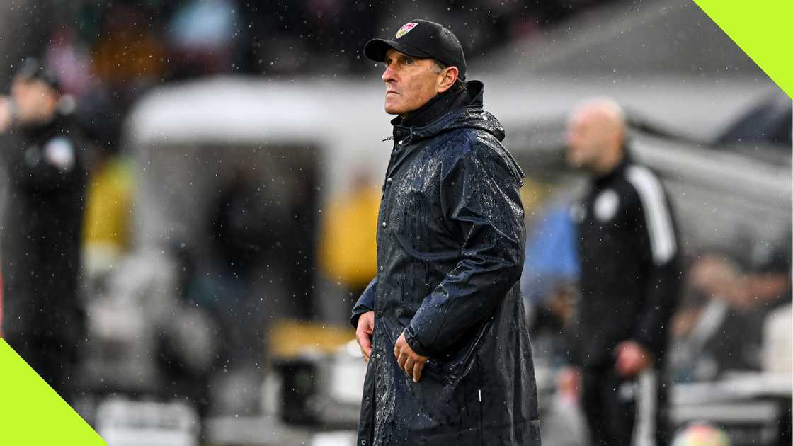 Bruno Labbadia is currently linked with coaching the Super Eagles Bruno Labbadia is currently linked with coaching the Super Eagles