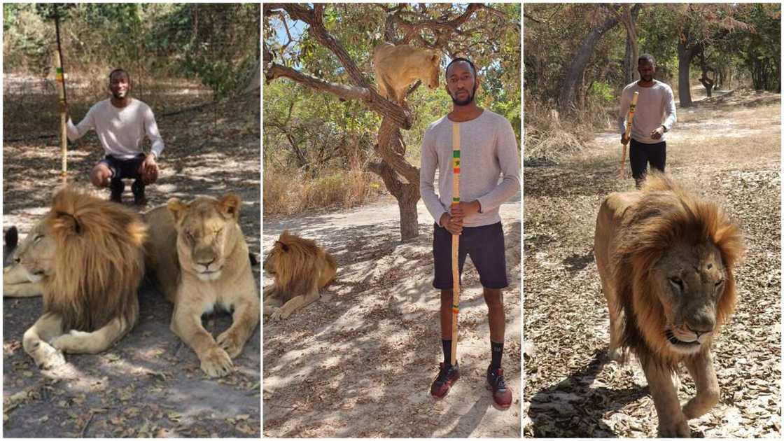 Man stands with lion in photos, says he is conquering his fears Man stands with lion in photos, says he is conquering his fears