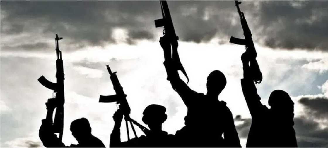 Yan Bindiga Yan Bindiga