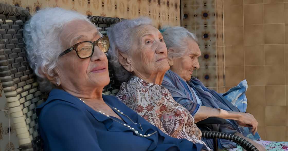 Brazilian sisters Zulina, Zoraide and Levita attract scientists studying their record 316 combined years. Brazilian sisters Zulina, Zoraide and Levita attract scientists studying their record 316 combined years.
