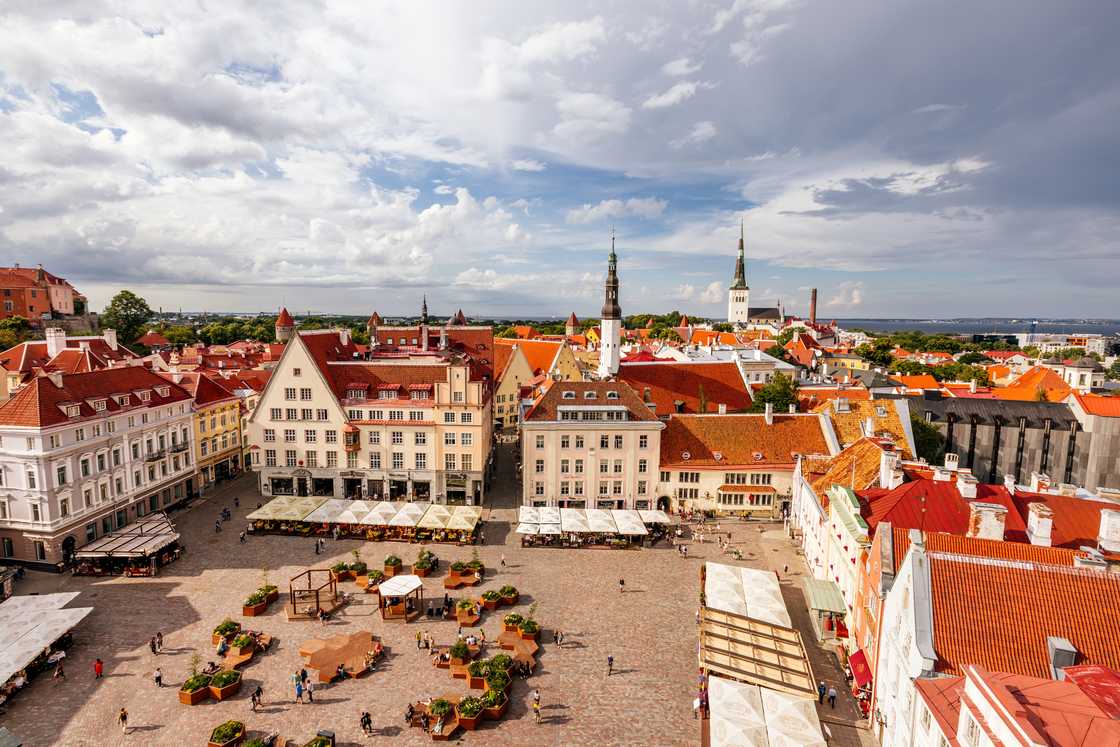 Tallinn Town Hall Square on a sunny summer day, aerial view, Estonia