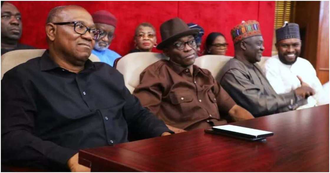 Labour Party, Peter Obi, tribunal Labour Party, Peter Obi, tribunal