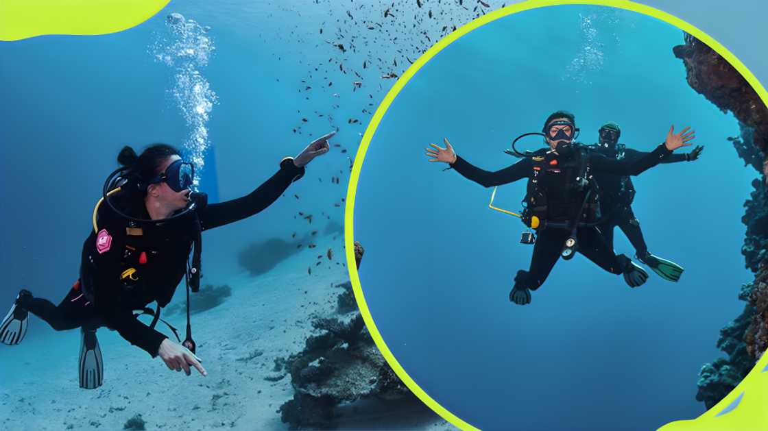 most expensive sports in the world most expensive sports in the world