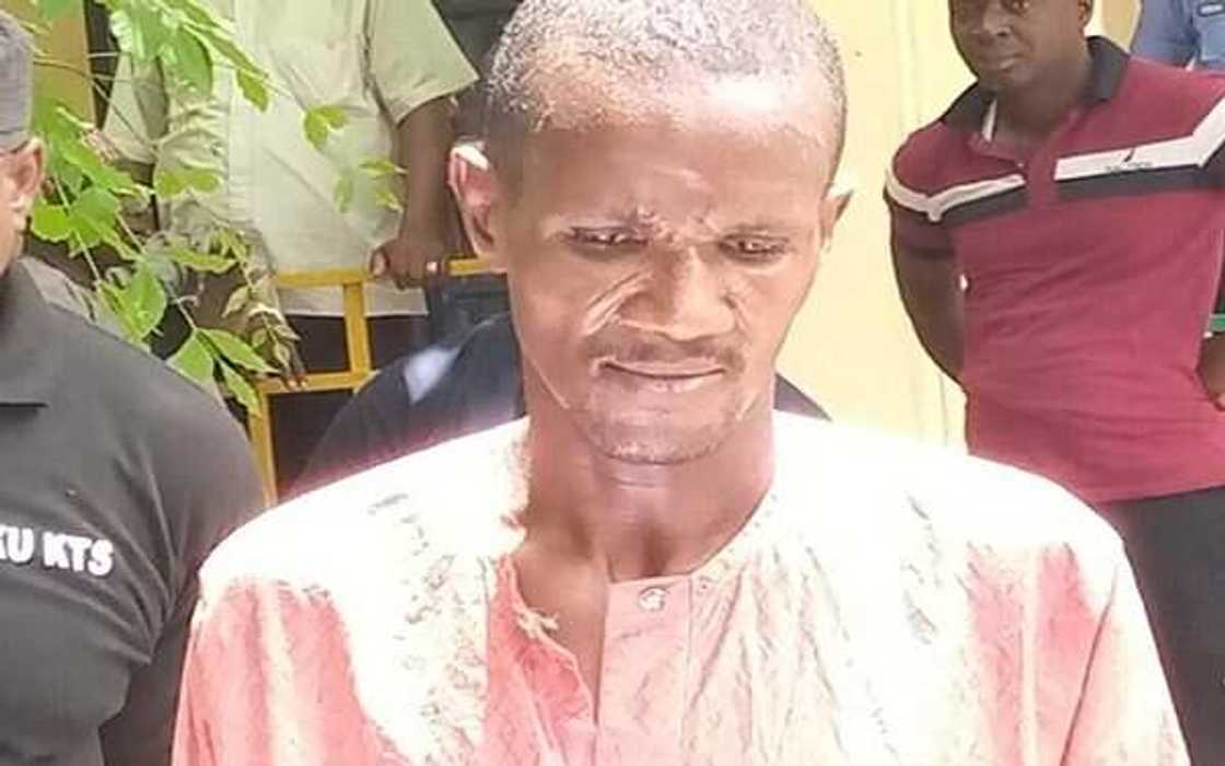 ‘Yan sanda sun damke kasurgumin mai siyar da makamai ga ‘yan fashi a Katsina ‘Yan sanda sun damke kasurgumin mai siyar da makamai ga ‘yan fashi a Katsina