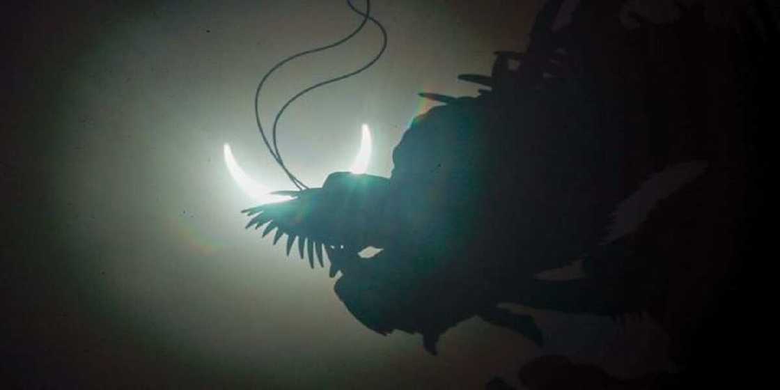 Hotunan yadda aka yi Khusufin rana a fadin duniya Hotunan yadda aka yi Khusufin rana a fadin duniya