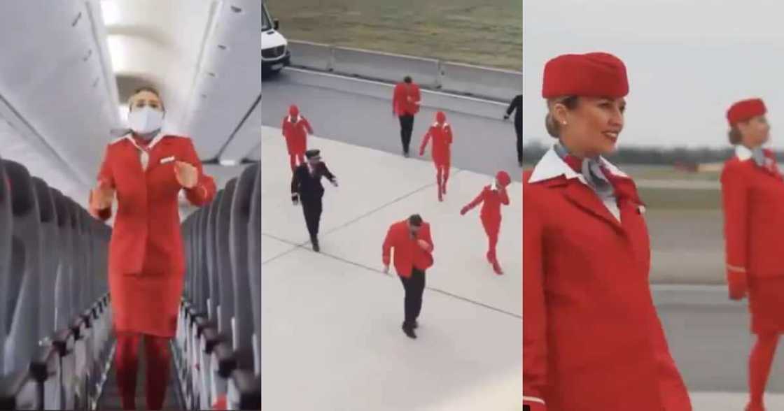 Austrian Airlines Crew Go Viral with Lit #Jerusalemachallenge Clip Austrian Airlines Crew Go Viral with Lit #Jerusalemachallenge Clip