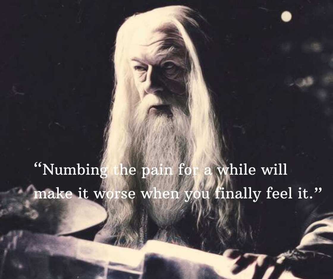 harry potter sayings harry potter sayings
