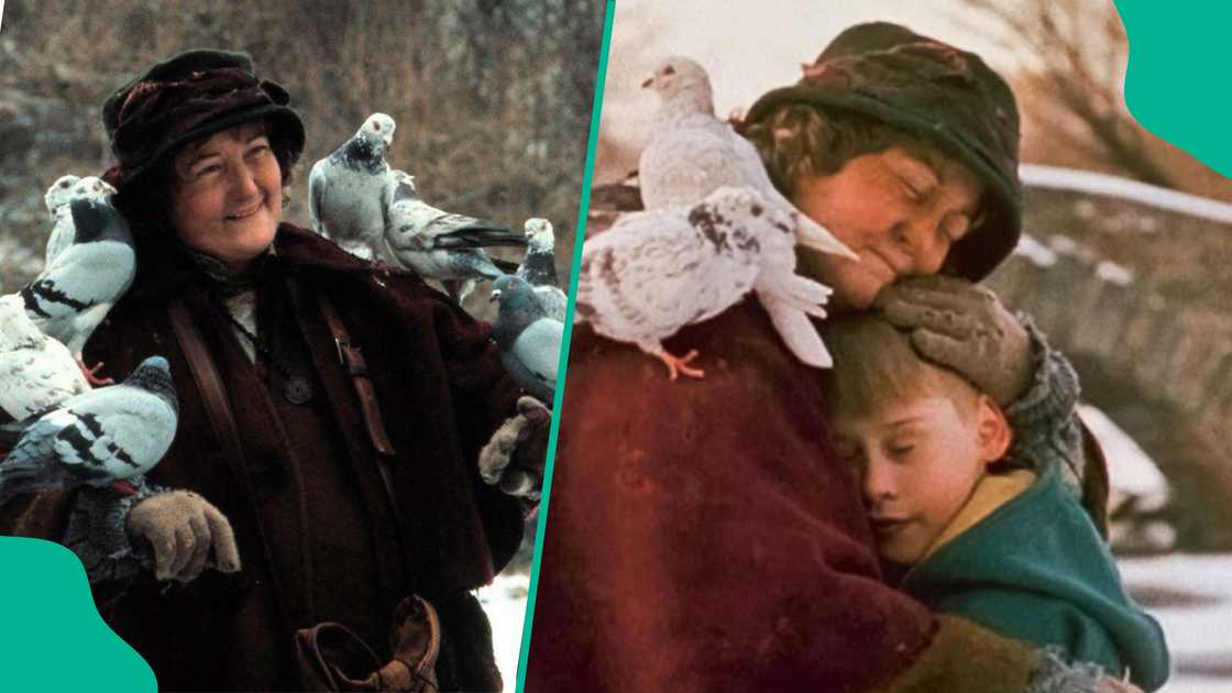 Hollywood actress Brenda Fricker known for her role in Home Alone is dead. Hollywood actress Brenda Fricker known for her role in Home Alone is dead.