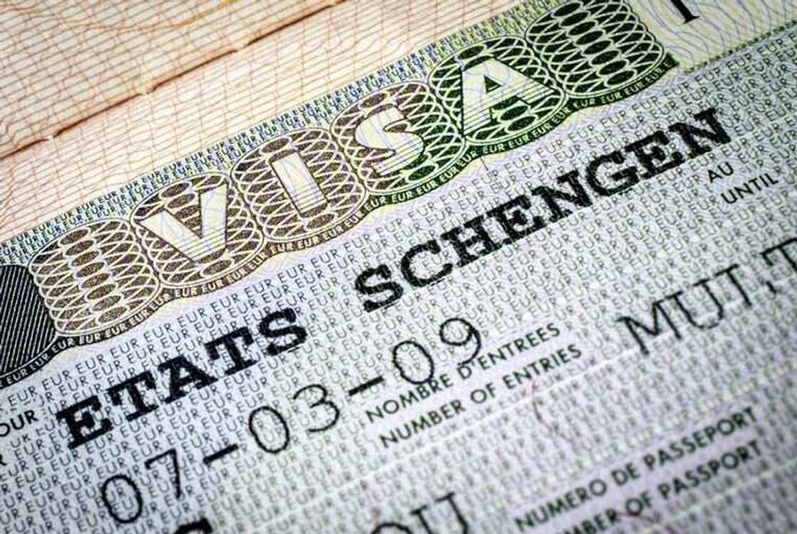 schengen visa schengen visa