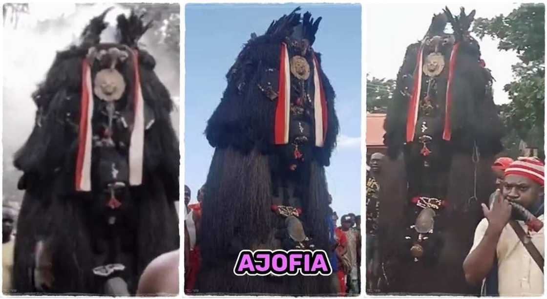 Nigerian masquerade called Ajofia. Nigerian masquerade called Ajofia.