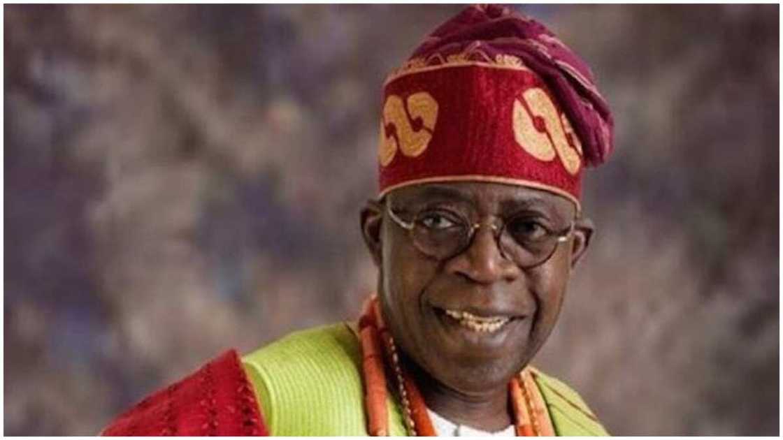 List of Nigerians canvassing support for Tinubu ahead of 2023 List of Nigerians canvassing support for Tinubu ahead of 2023
