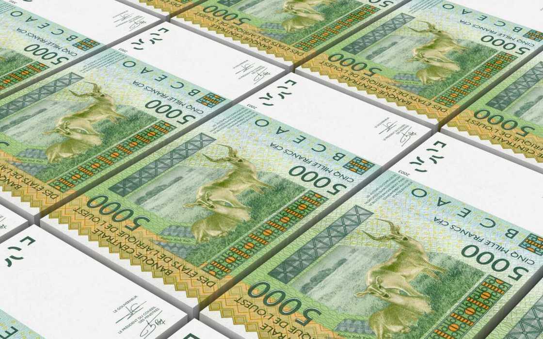 West African people West African people