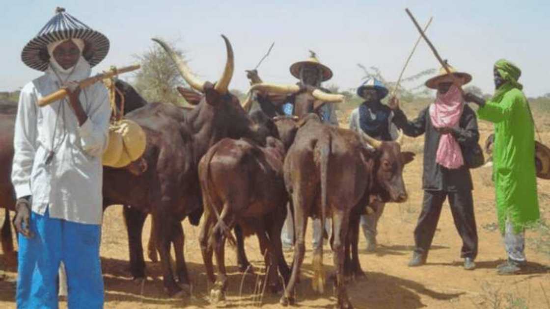 Da duminsa: Fulani makiyaya sun kai hari yankin Ngbo dake Ebonyi