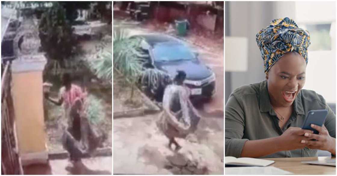 CCTV, lampholder, fence, sack bag CCTV, lampholder, fence, sack bag