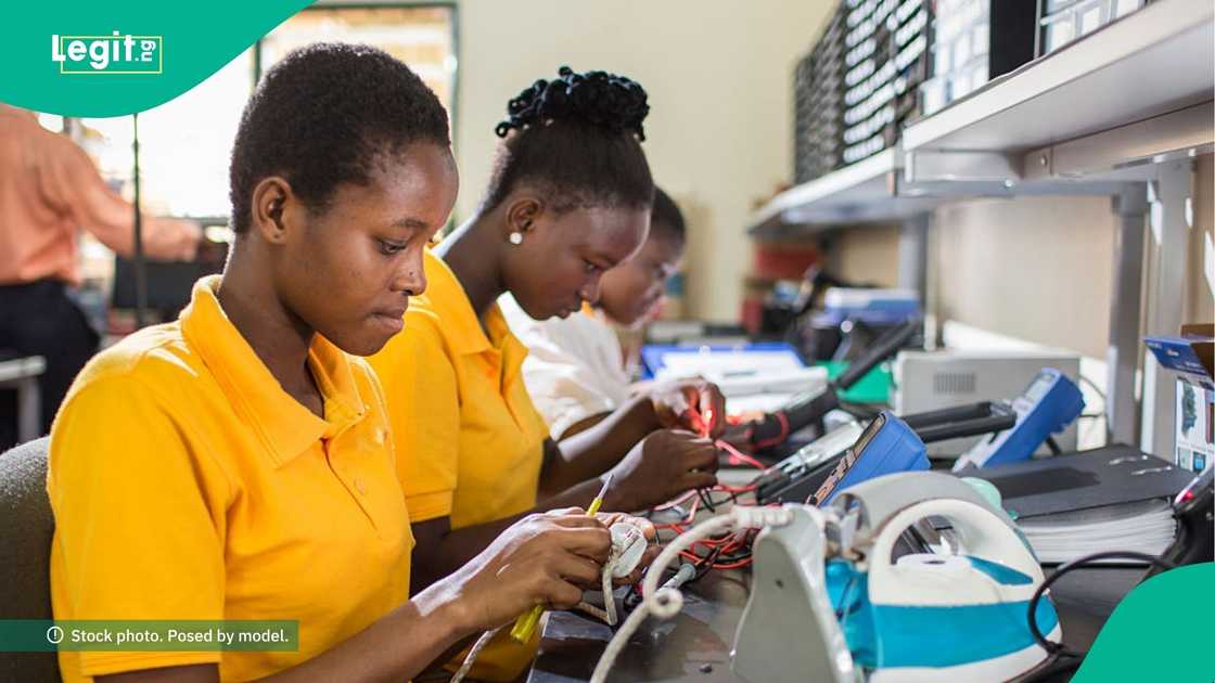 FG to train unemployed Nigerians, offering stipends and start-up capital FG to train unemployed Nigerians, offering stipends and start-up capital