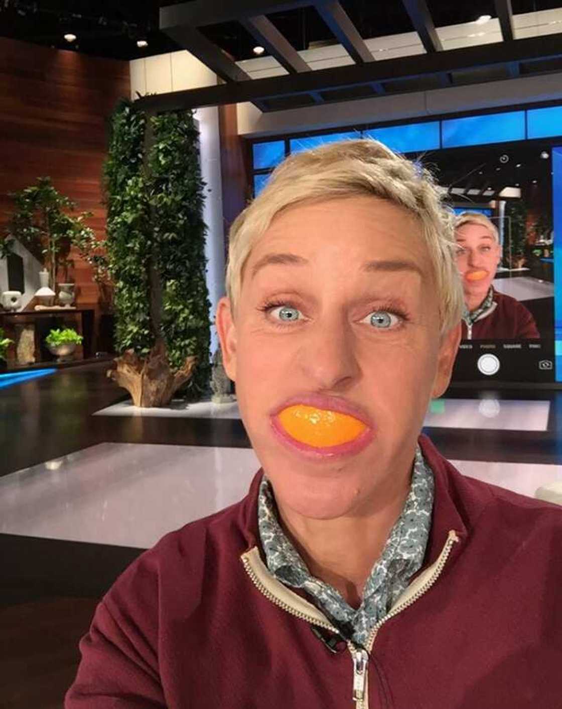 Ellen's net worth