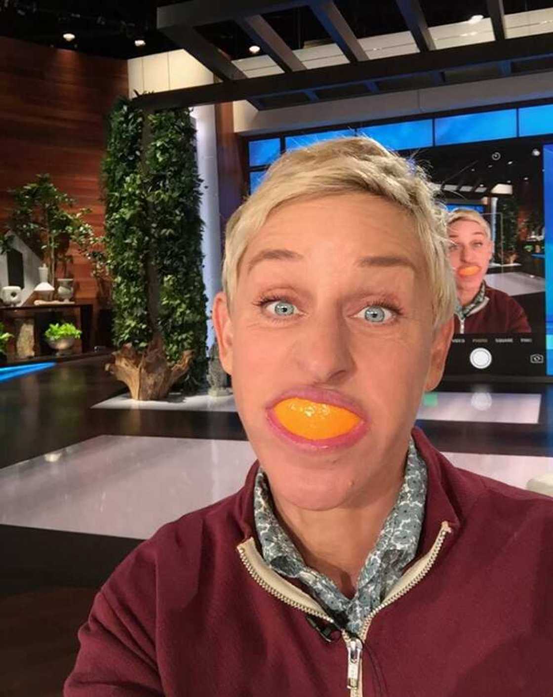 Ellen's net worth Ellen's net worth