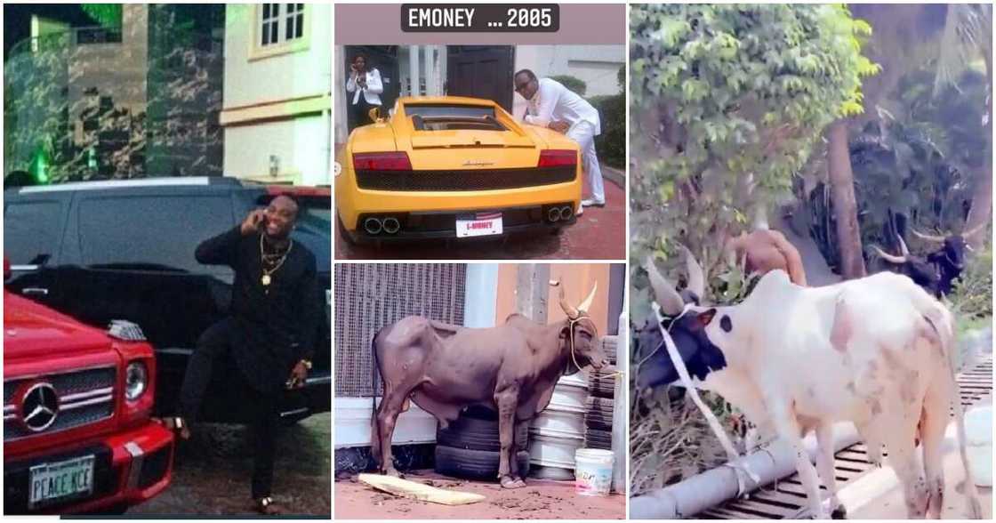 E-Money at 40 E-Money at 40