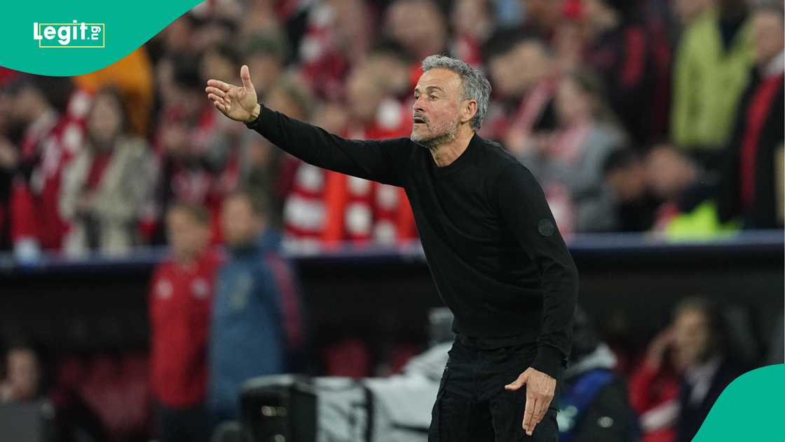 Luis Enrique, PSG, Bayern Munich, Allianz Arena, UEFA Champions League.
