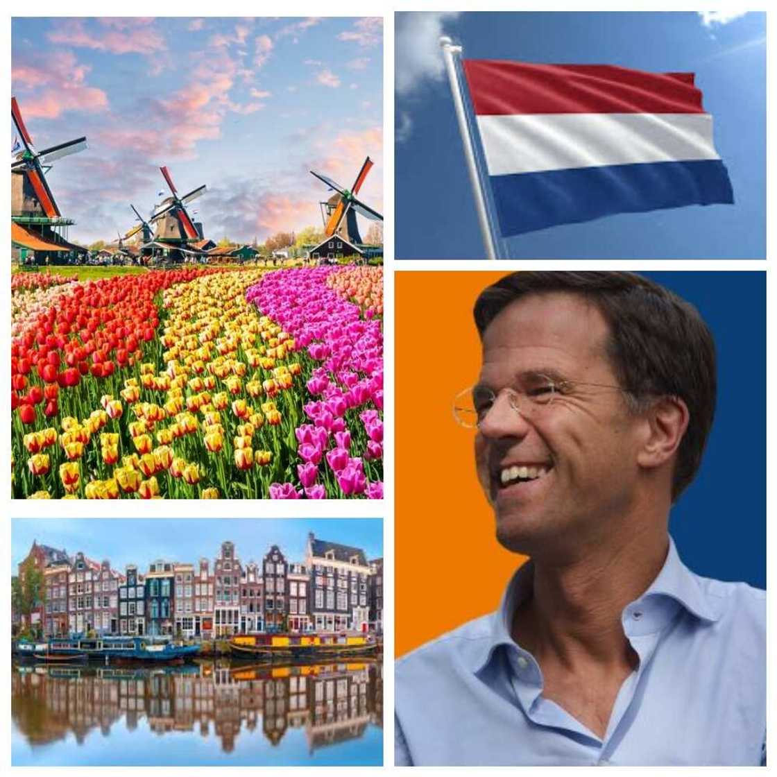 The Netherlands and Mark Rutte The Netherlands and Mark Rutte