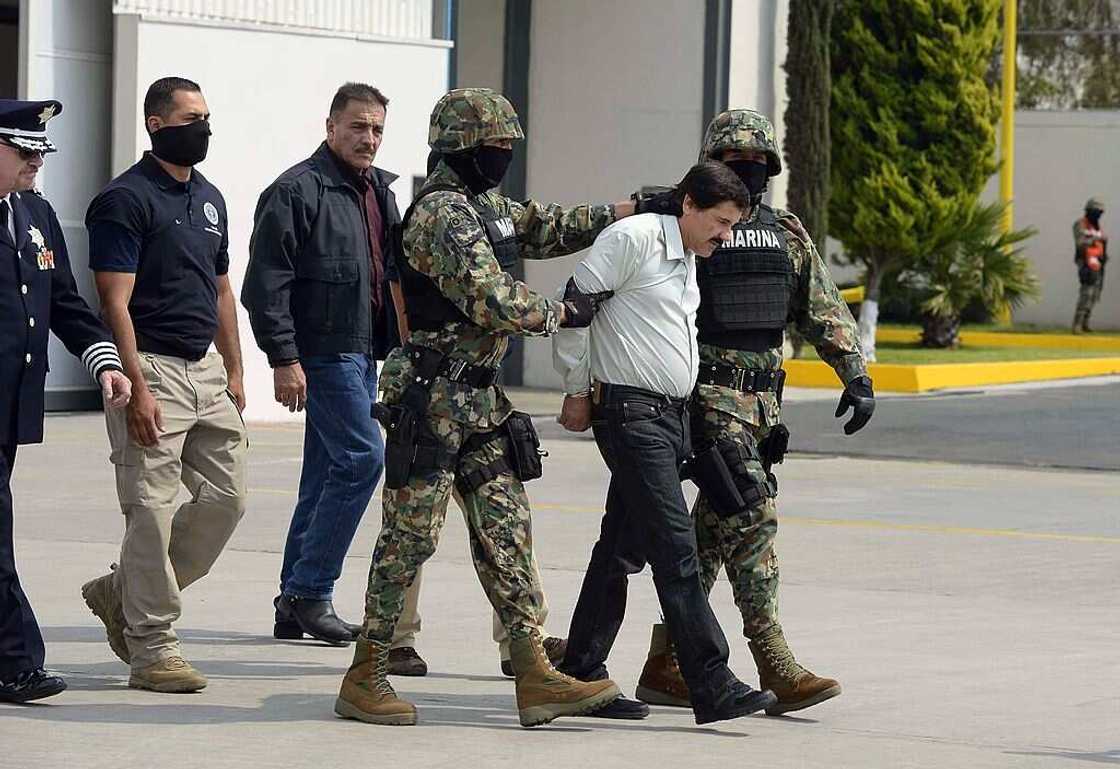 El Chapo: à propos de l’ascension et la chute de Joaquín Guzmán