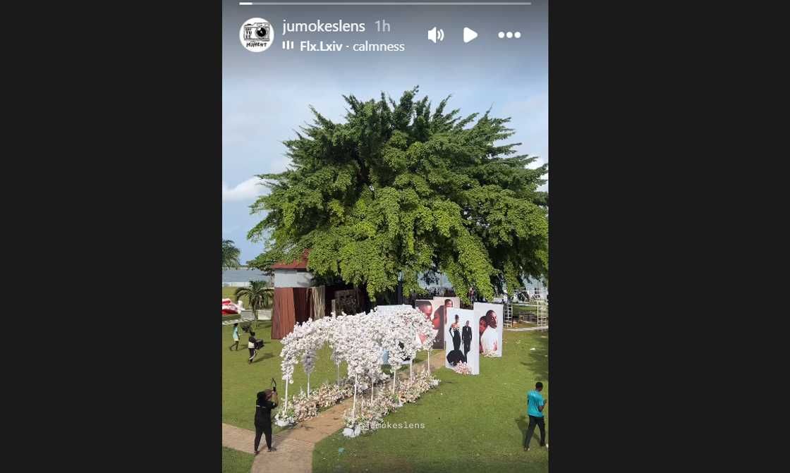 JP2025: Priscy and Juma Jux's white wedding venue unveiled. JP2025: Priscy and Juma Jux's white wedding venue unveiled.