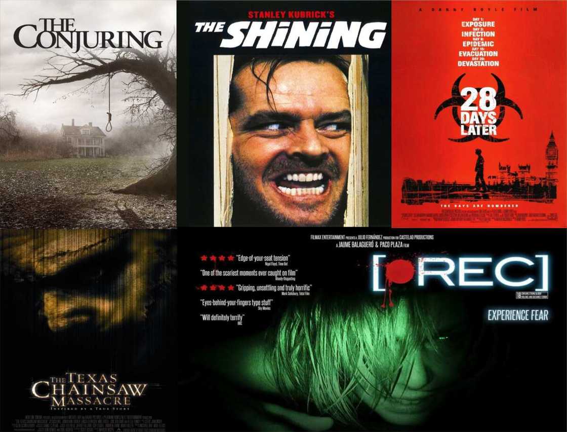 Top 15 best horror movies that will definitely scare you in 2022 - Legit.ng